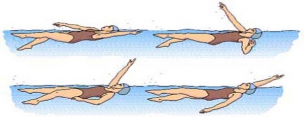 Yüzme Teknikleri : Sırtüstü Yüzme Tekniği
